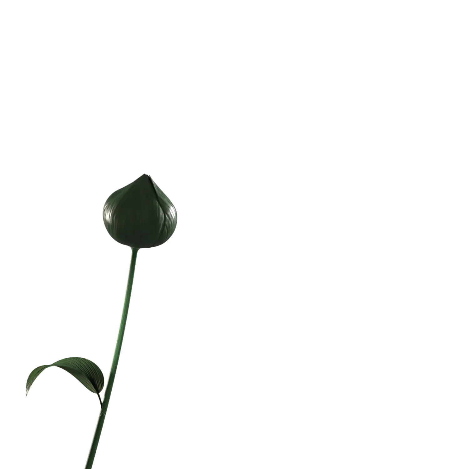 AI Flower placeholder