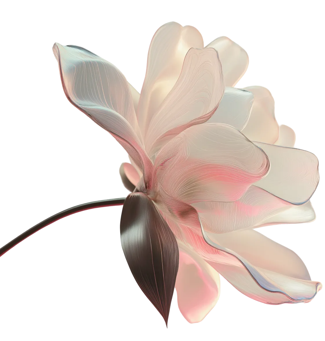 Dolsten & Co. AI Flower visual